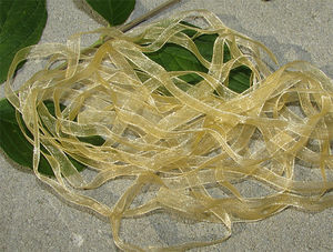 Organzaband 6mm guldbeige