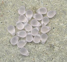 Glasdroppar 4x6mm frostade rosa 100st