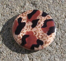 Snäckskalscoin leopard 30mm