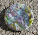 Snäckskalscoin multi 30mm