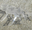 Plexiglas hänge älg