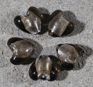 Hjärtan silverfoil 20mm grå