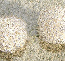 Trasselbollar rufsiga 24mm 2-pack